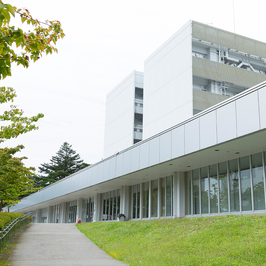 大学院 会計 東北 大学