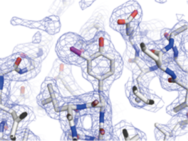 Visualization of pH by the chemical imaging sensor