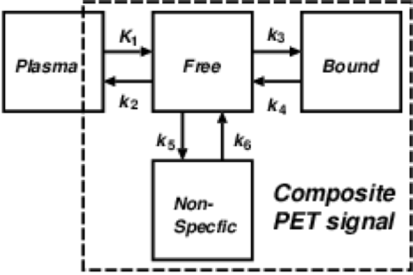 General mathematical model for analyzing PET data