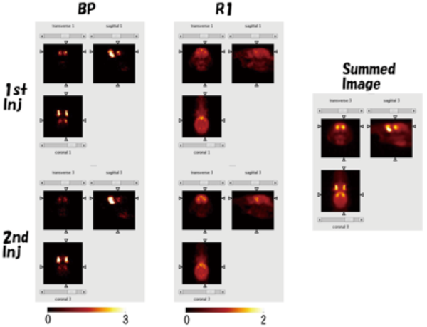 Generated parametric images from PET images with a rat