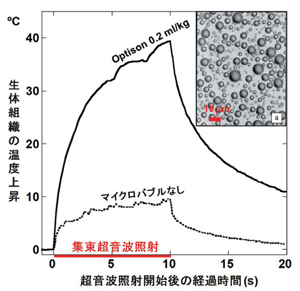 Tissue heating enhancement with microbubbles