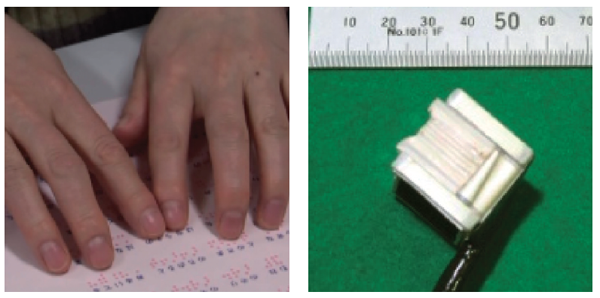 Tactile sensor system for reading Braille