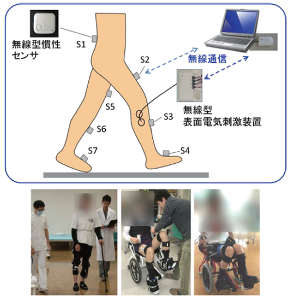 Development of FES rehabilitation system (applications to gait rehabilitation and FES cycling wheelchair rehabilitation)