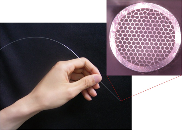 Hollow optical fiber bundle for remote Raman spectral imaging