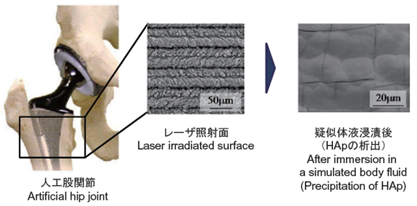 Generation of bio-active surface