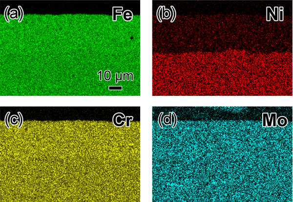 EDS results on cross section of SUS316L surface in which toxic Ni element has been selectively removed in a Mg liquid