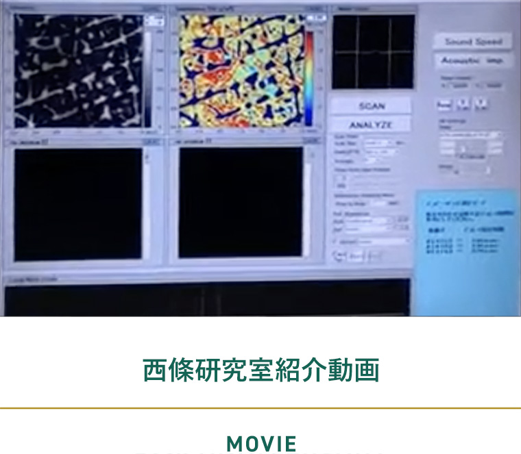 西條研究室紹介動画