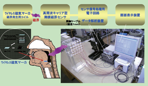 磁気式ワイヤレスモーションキャプチャ技術を応用した摂食嚥下機能評価システムの開発