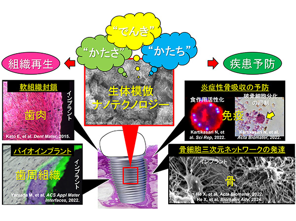生体再生医工学メカノ医歯工学