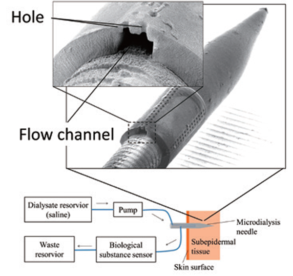 皮膚貼付型生体成分計測用微小流路付金属針と流路断面（針外径200μm）