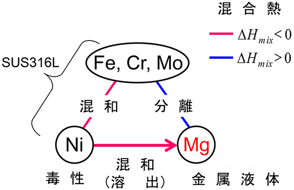 図1　SUS316L表面から毒性ニッケル元素を脱成分する反応設計